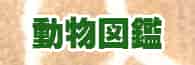 動物図鑑